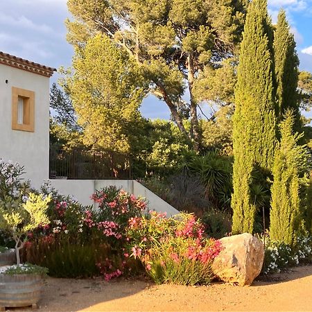 Domaine De L'Herbe Sainte Mirepeisset ภายนอก รูปภาพ