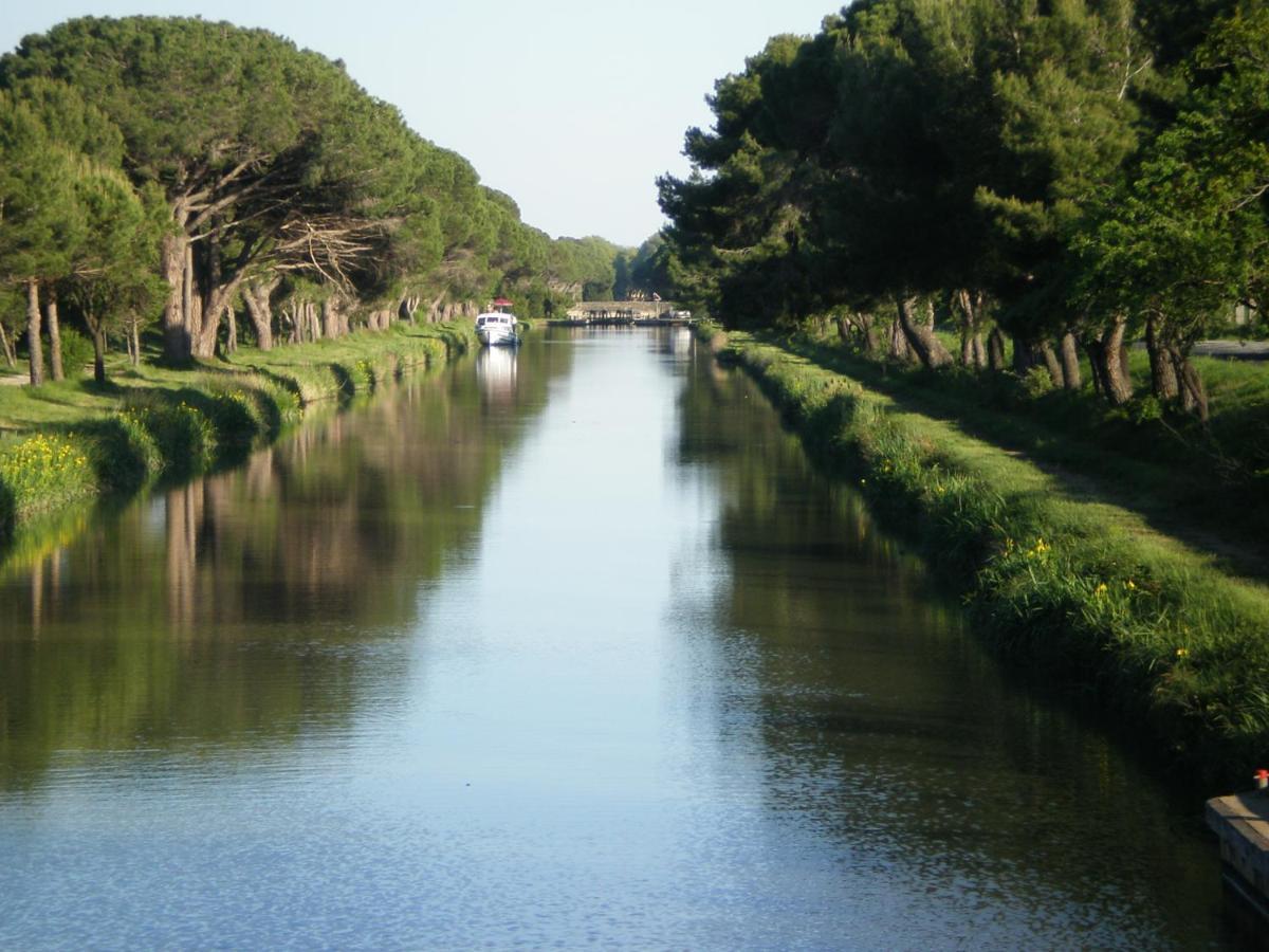 Domaine De L'Herbe Sainte Mirepeisset ภายนอก รูปภาพ