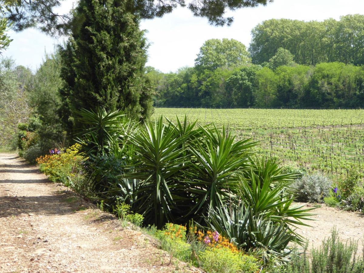 Domaine De L'Herbe Sainte Mirepeisset ภายนอก รูปภาพ