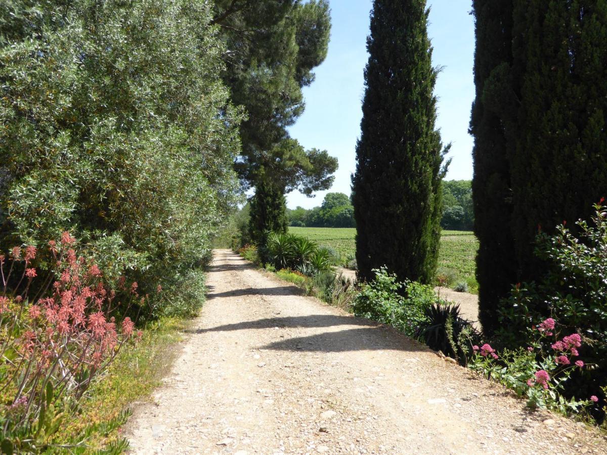 Domaine De L'Herbe Sainte Mirepeisset ภายนอก รูปภาพ