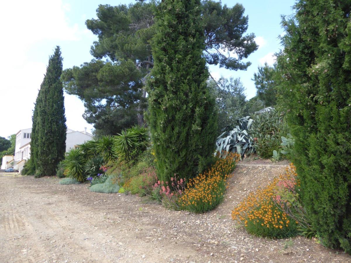 Domaine De L'Herbe Sainte Mirepeisset ภายนอก รูปภาพ