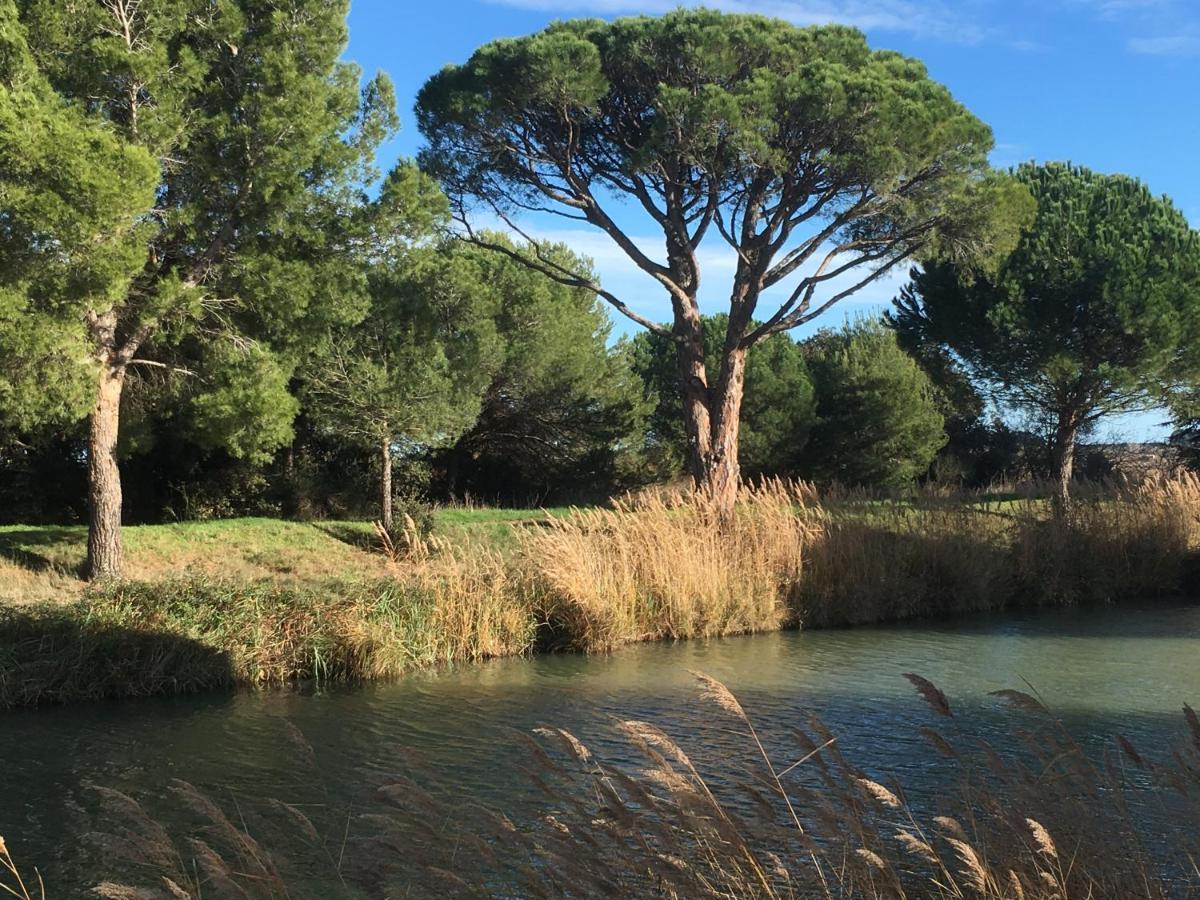 Domaine De L'Herbe Sainte Mirepeisset ภายนอก รูปภาพ