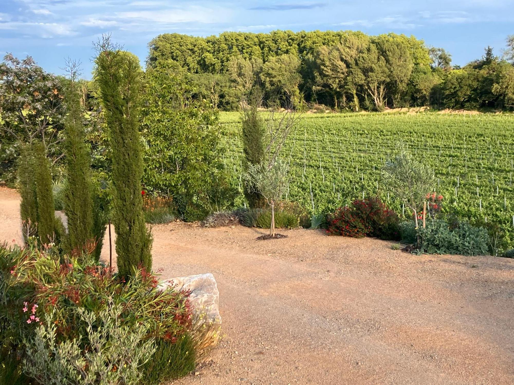 Domaine De L'Herbe Sainte Mirepeisset ภายนอก รูปภาพ