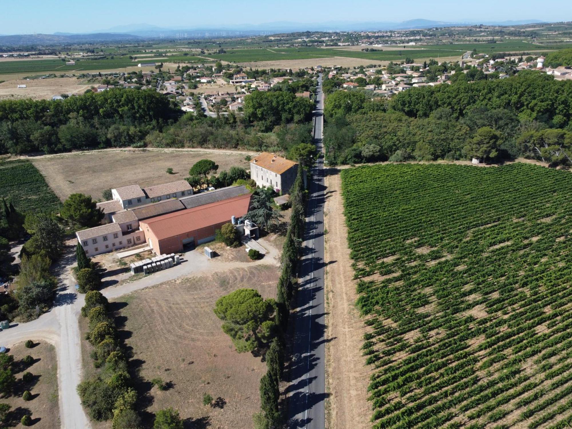 Domaine De L'Herbe Sainte Mirepeisset ภายนอก รูปภาพ