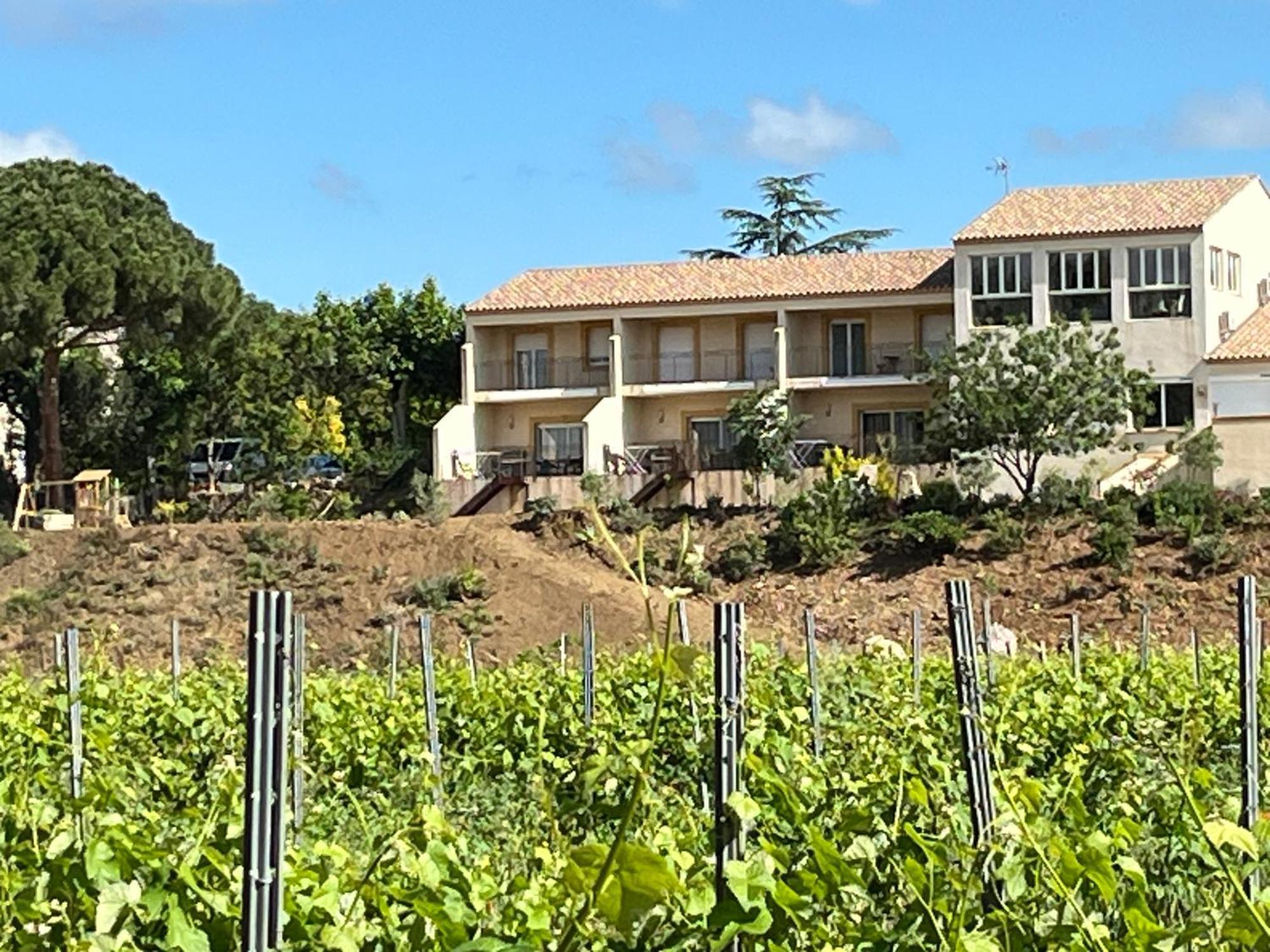 Domaine De L'Herbe Sainte Mirepeisset ภายนอก รูปภาพ